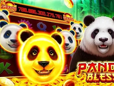Premium Pokies Gameplay Screen
